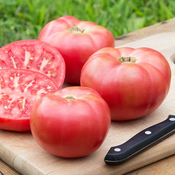 Diversity of Beefsteak Tomatoes Stock Image - Image of tomato, pink:  26427091