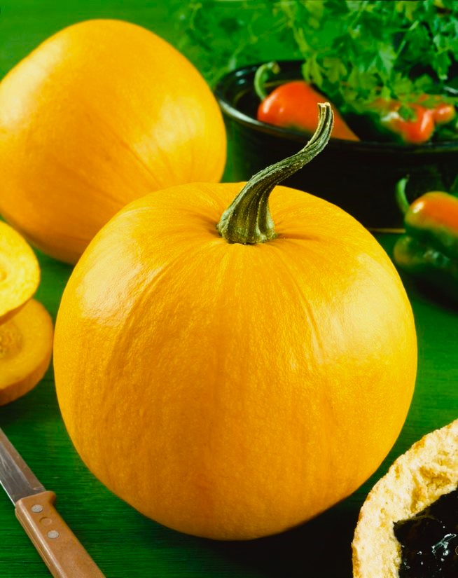 Organic Small Sugar Pumpkin - Albert Lea Seed