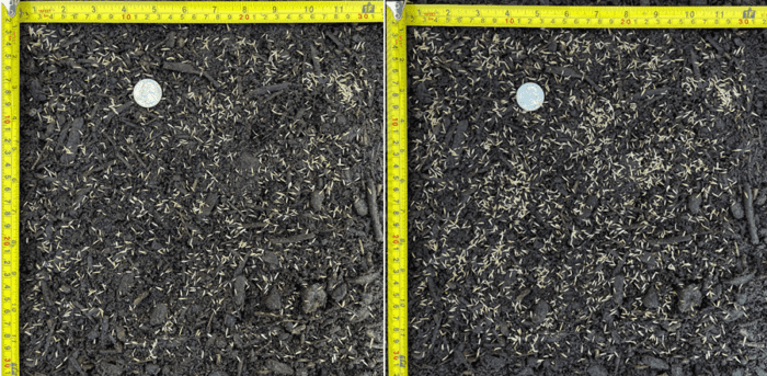 Grass Seeding Rates For New Lawn Establishments Albert Lea Seed grass-seeding-melnor-inc