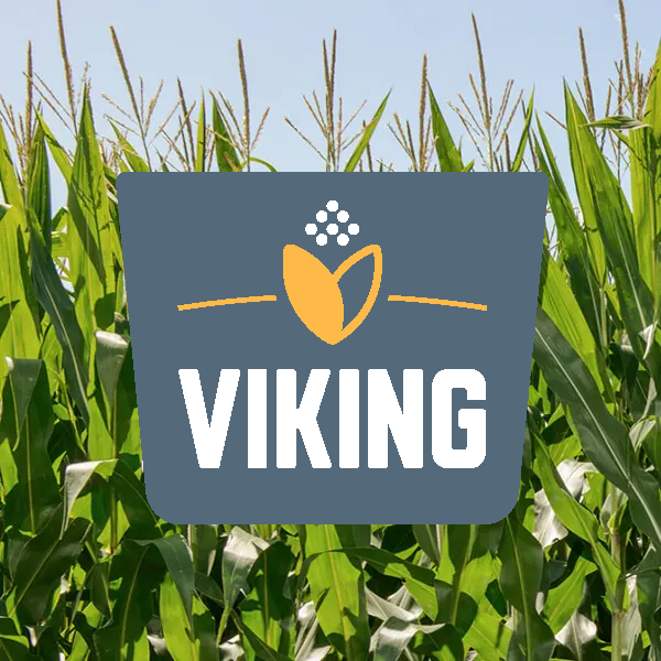 corn with Viking logo