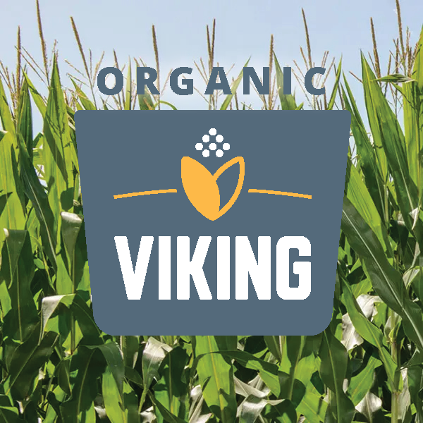 corn with Viking logo