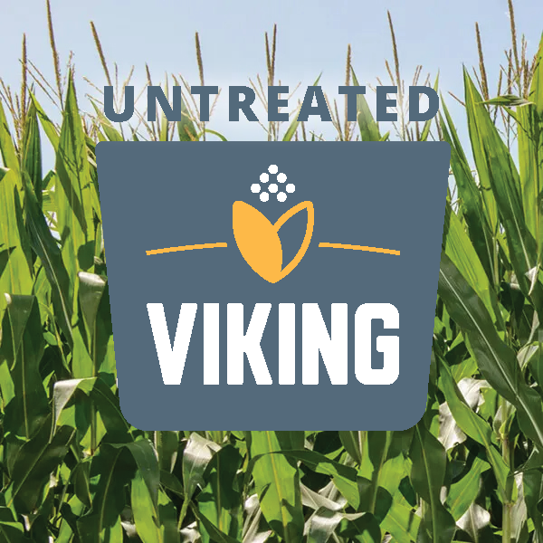 corn with Viking logo