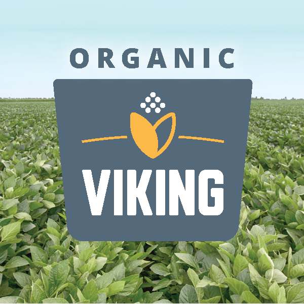 Viking organic soybeans