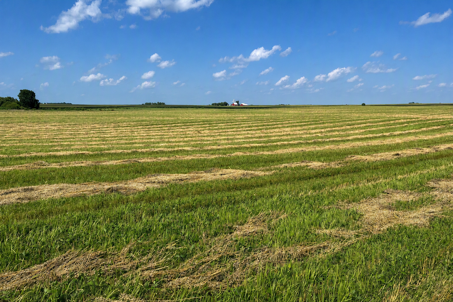 Swathing is an option for harvesting green stem oats.